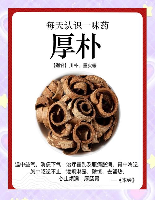 厚朴的功效与作用有哪些？轻松读懂这味中药的奇妙力量！