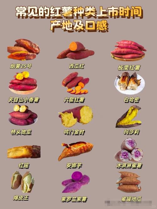 红薯减肥食谱：轻松瘦身不挨饿，甜蜜减脂新选择！