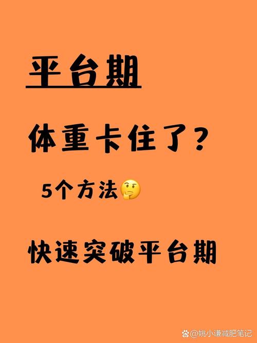 北京卡路里信息技术有限公司:你的健康数据管家,让减肥变得轻松有趣!