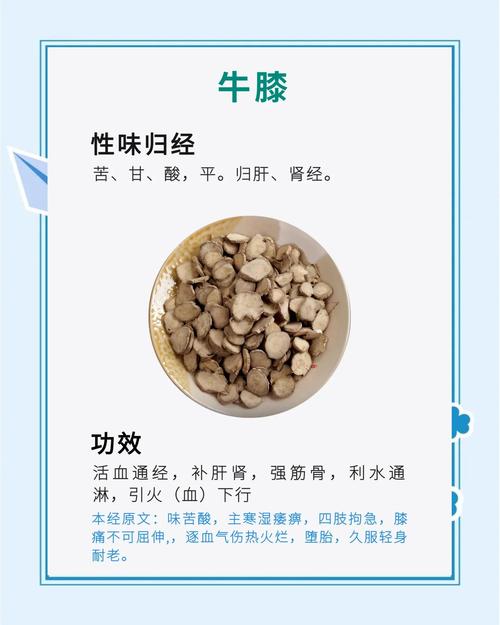 牛膝的功效与作用大揭秘！轻松养骨护关节，这些妙用你知道吗？
