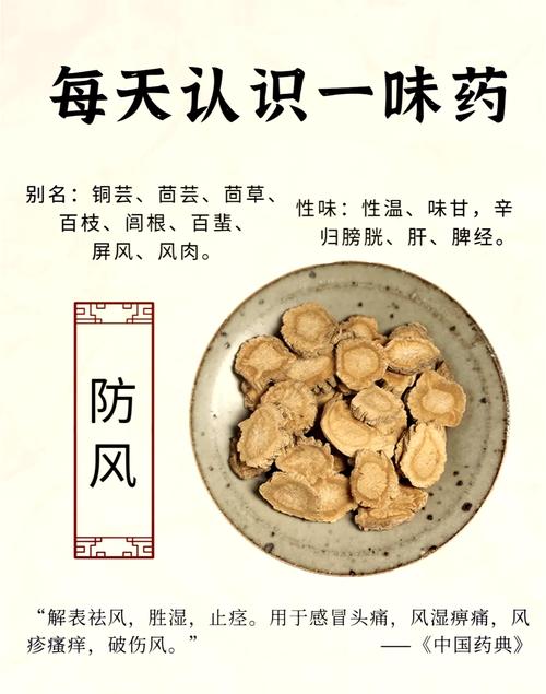 防风的功效与作用大揭秘！轻松养生，这些妙用你竟然还不知道？