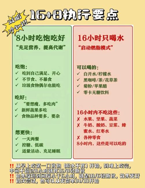 8加16的减肥方法：轻松燃脂不挨饿，一个月悄悄瘦下来！