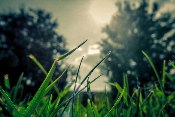 储奶瓶为什么不能冷冻？宝妈必看的正确储奶方法！